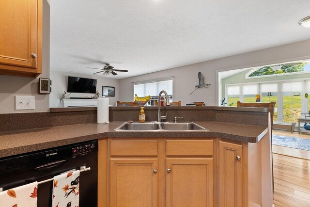 30 Beatrice Ct, Fishersville, VA 22939 - kitchen featuring dishwasher, dark countertops, light wood-style floors, a ceiling fan, and open floor plan