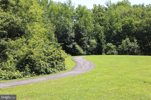 2410 Pittston Rd, Fredericksburg, VA 22408 - photo 4