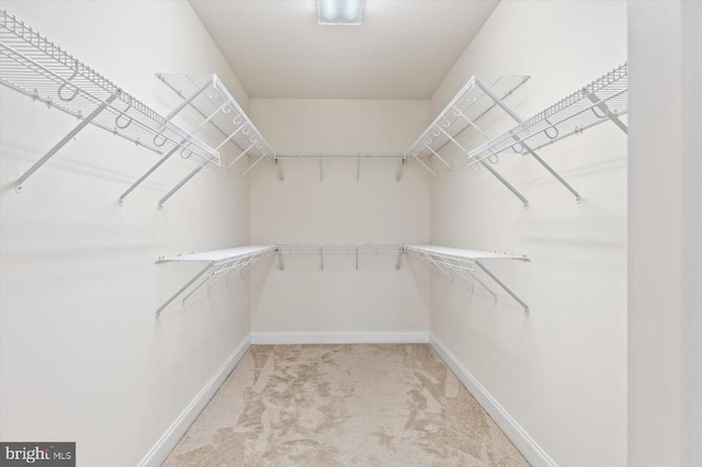 3714 Fairways Ct, Fredericksburg, VA 22408 - walk in closet featuring light colored carpet