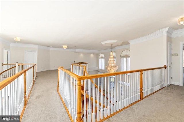 3714 Fairways Ct, Fredericksburg, VA 22408 - hall with carpet, an upstairs landing, crown molding, and baseboards