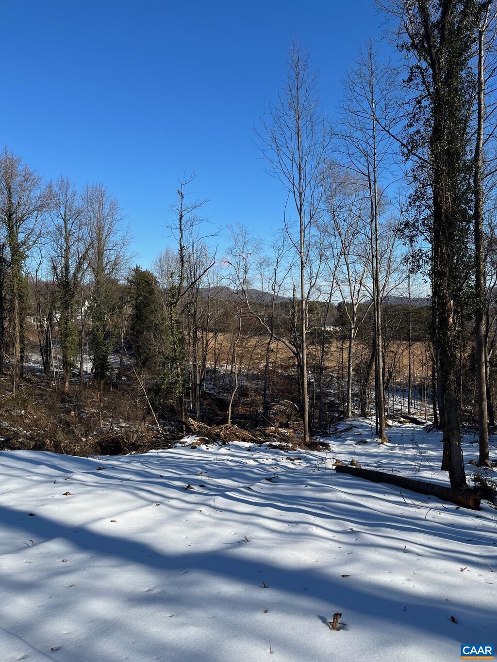 Monacan Trail Rd, Covesville, VA 22931