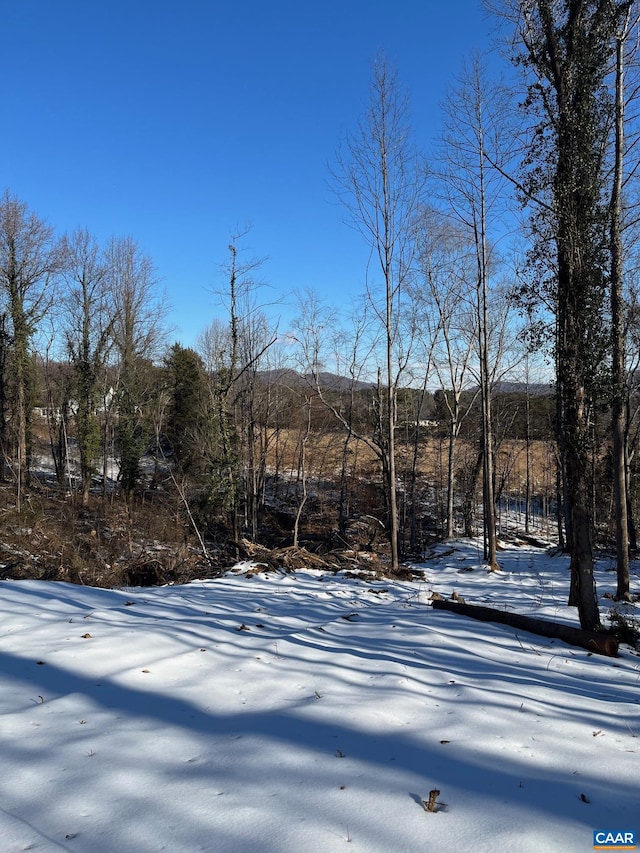 Monacan Trail Rd, Covesville, VA 22931
