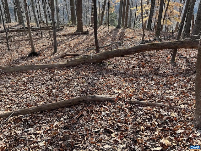 Monacan Trail Rd, Covesville, VA 22931