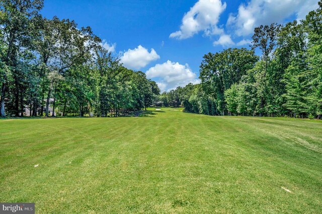 3906 Lakeview Pkwy, Locust Grove, VA 22508 - photo 46