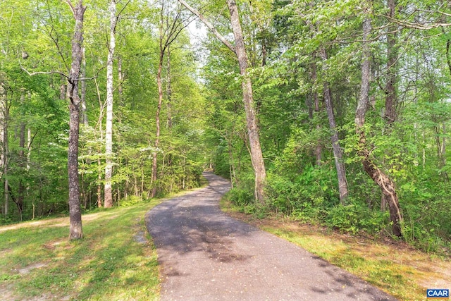 6904 James Madison Hwy, Fork Union, VA 23055 - view of road with a wooded view