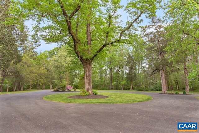 6904 James Madison Hwy, Fork Union, VA 23055 - view of property's community featuring a wooded view and curved driveway
