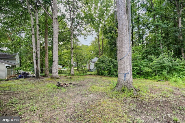 11002 Meadowlark Ln, Spotsylvania, VA 22553 - photo 35
