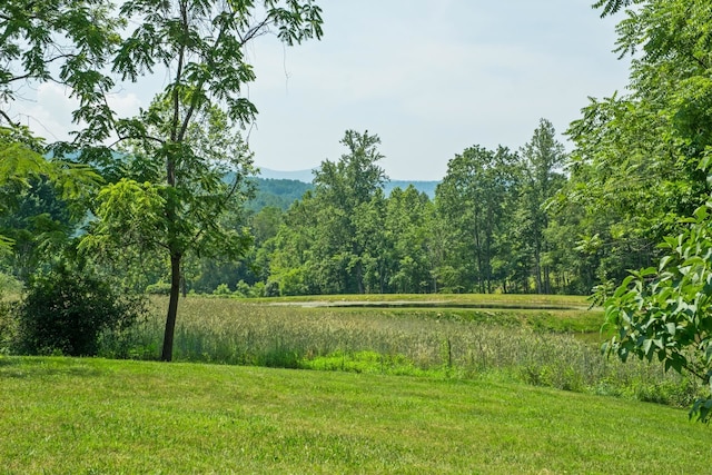 554 Harris Cove Ln, Elkton, VA 22827 - view of green lawn featuring a forest view