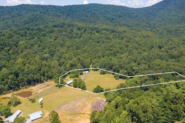 554 Harris Cove Ln, Elkton, VA 22827 - aerial view of property's location with a forest and property parcel outlined