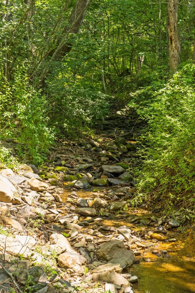 554 Harris Cove Ln, Elkton, VA 22827 - view of woods