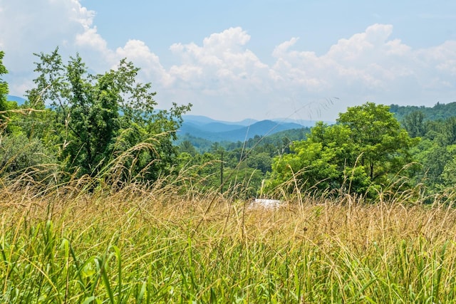 554 Harris Cove Ln, Elkton, VA 22827 - view of mountain backdrop with a forest
