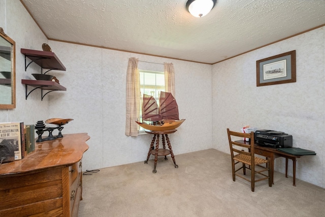 554 Harris Cove Ln, Elkton, VA 22827 - carpeted office space featuring crown molding and a textured ceiling