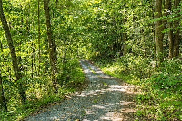 554 Harris Cove Ln, Elkton, VA 22827 - view of dirt / gravel road featuring a wooded view