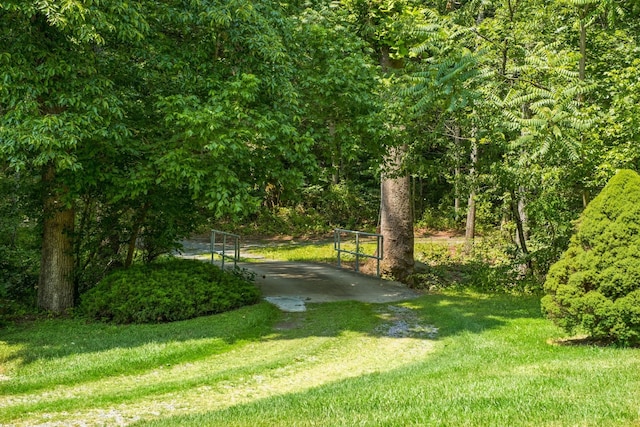 554 Harris Cove Ln, Elkton, VA 22827 - view of grassy yard featuring a view of trees