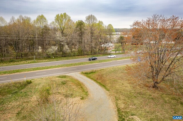14540 Spotswood Trl, Ruckersville, VA 22968 - photo 39