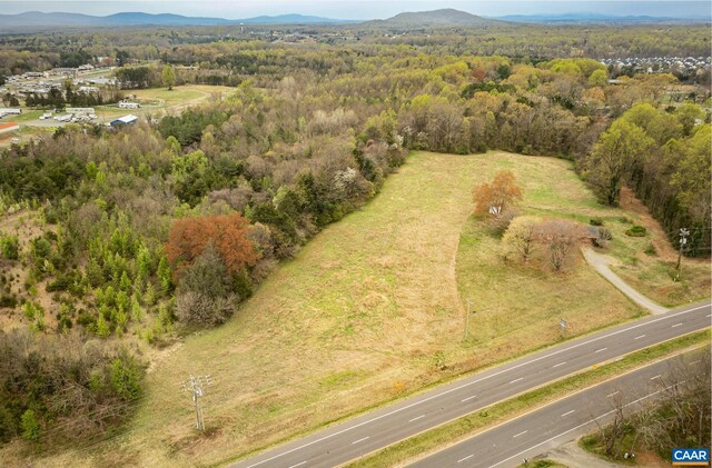 14540 Spotswood Trl, Ruckersville, VA 22968 - photo 22