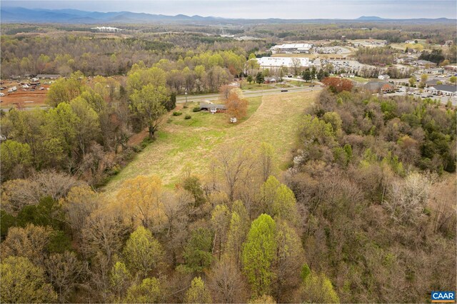 14540 Spotswood Trl, Ruckersville, VA 22968 - photo 33