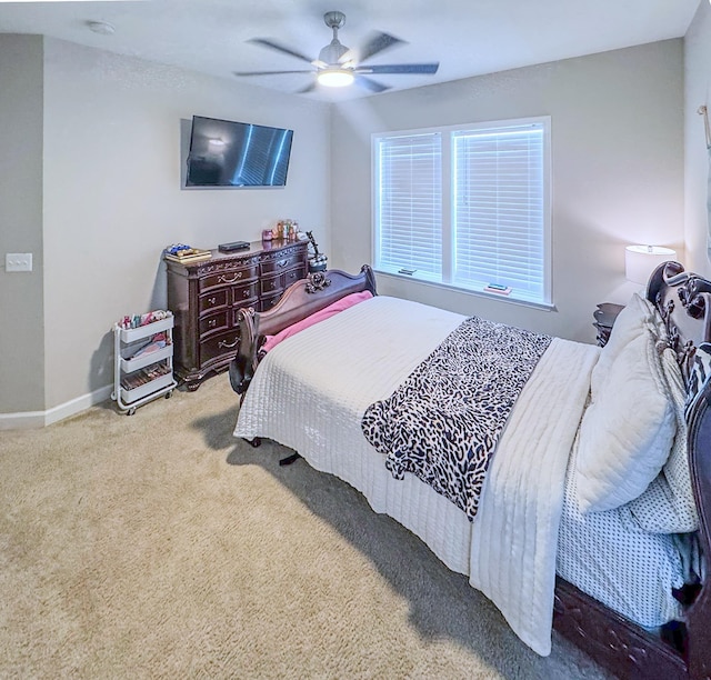 3406 Charleston Blvd, Rockingham, VA 22801 - photo 12