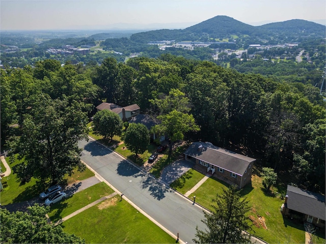 578 Hilltop Dr, Staunton, VA 24401 - photo 53