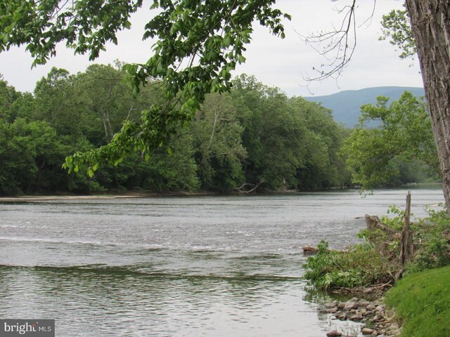 831 Good Mill Rd, Rileyville, VA 22650 - water view with a forest and a mountainous background