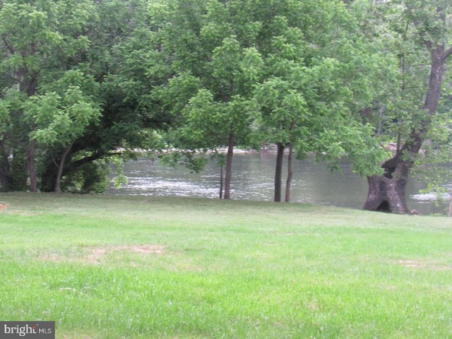 831 Good Mill Rd, Rileyville, VA 22650 - view of yard with a water view