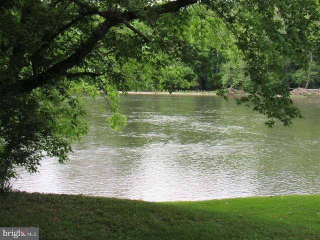 831 Good Mill Rd, Rileyville, VA 22650 - water view
