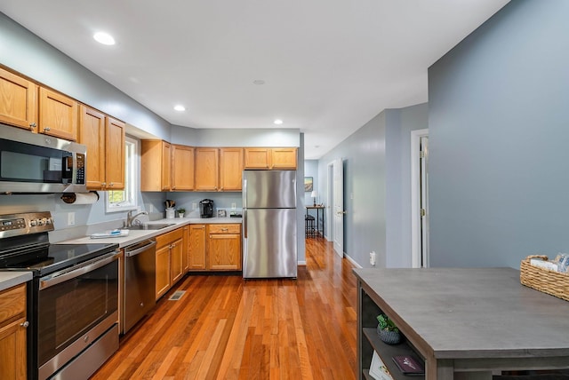 392 Passage Ln, Mcgaheysville, VA 22840 - kitchen with appliances with stainless steel finishes, light wood-type flooring, open shelves, light countertops, and a sink