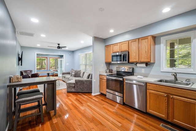 392 Passage Ln, Mcgaheysville, VA 22840 - kitchen with appliances with stainless steel finishes, a sink, open floor plan, light wood-type flooring, and light countertops