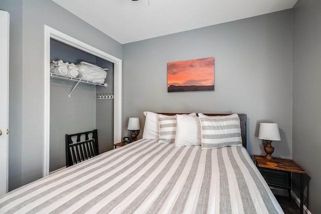 392 Passage Ln, Mcgaheysville, VA 22840 - bedroom featuring a closet