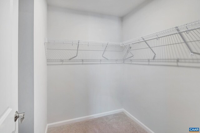 3041 Rambling Brook Ln, Crozet, VA 22932 - photo 27