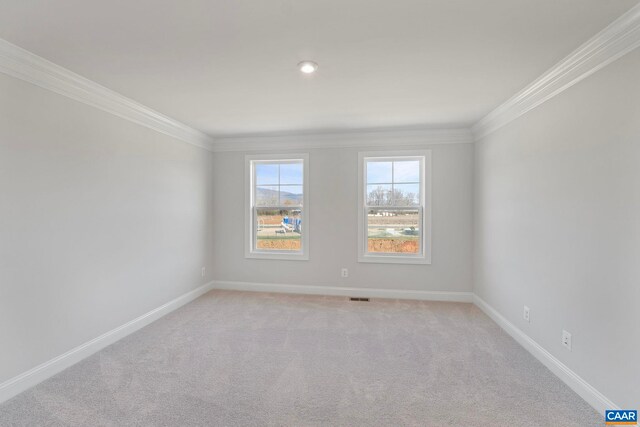 770 Park Ridge Dr, Crozet, VA 22932 - photo 20