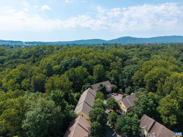 115 Melbourne Prk Cir Unit D, Charlottesville, VA 22901 - photo 41