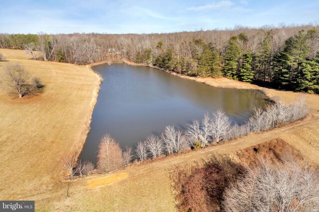495 Deepwood Farm Dr, Scottsville, VA 24590 - photo 10