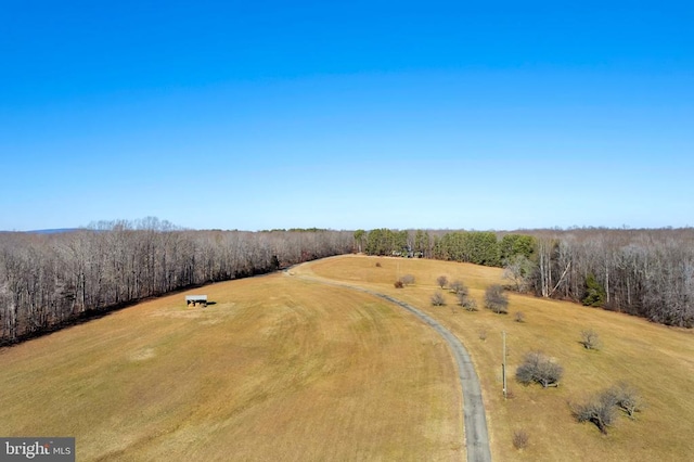 495 Deepwood Farm Dr, Scottsville, VA 24590 - photo 2