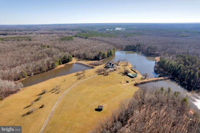 495 Deepwood Farm Dr, Scottsville, VA 24590 - photo 7
