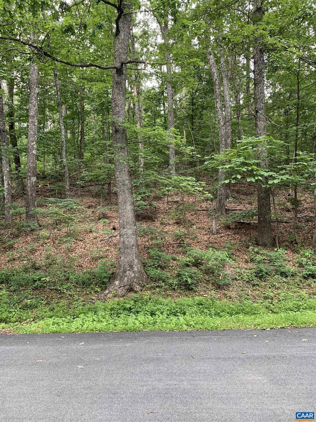32 Laurel Rdg, Wintergreen, VA 22958