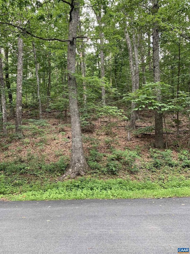 32 Laurel Rdg, Wintergreen, VA 22958