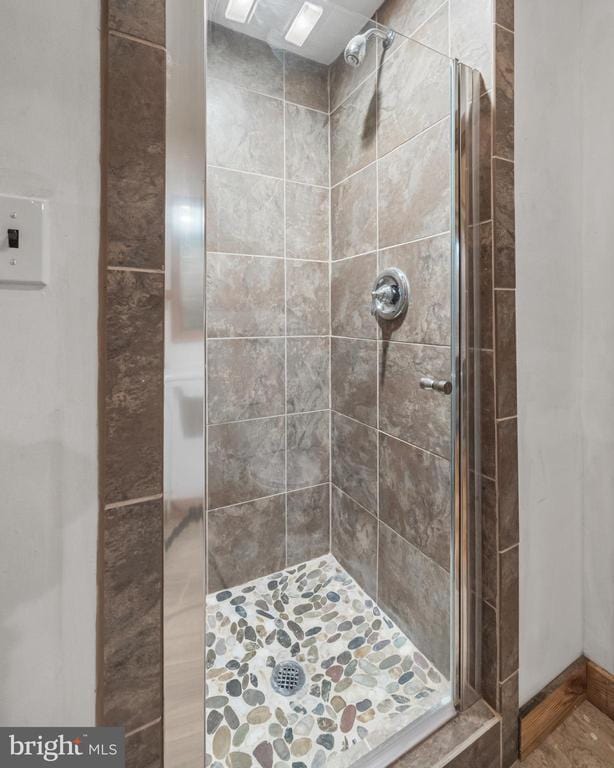 935 River Lodge Rd, Luray, VA 22835 - bathroom with a shower stall