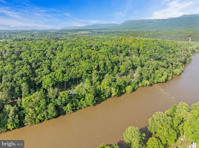 935 River Lodge Rd, Luray, VA 22835 - drone / aerial view of a forest and a mountainous background