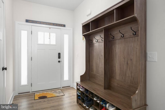 5223 Wyndemere Cir, Mineral, VA 23117 - mudroom featuring wood finished floors and a healthy amount of sunlight