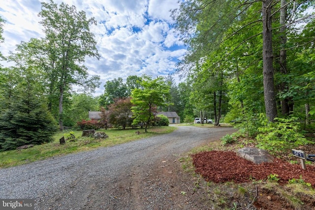 571 Cc Rd, Hood, VA 22723 - view of dirt / gravel road
