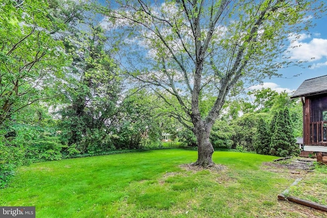 501 Barberry St, Culpeper, VA 22701 - photo 39