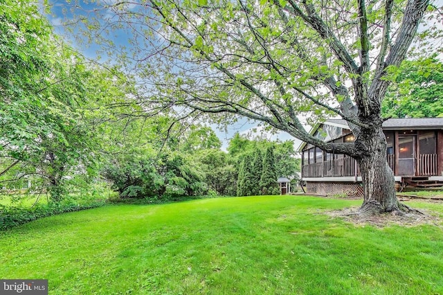 501 Barberry St, Culpeper, VA 22701 - photo 40