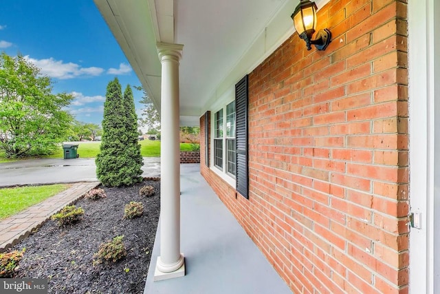 501 Barberry St, Culpeper, VA 22701 - photo 43
