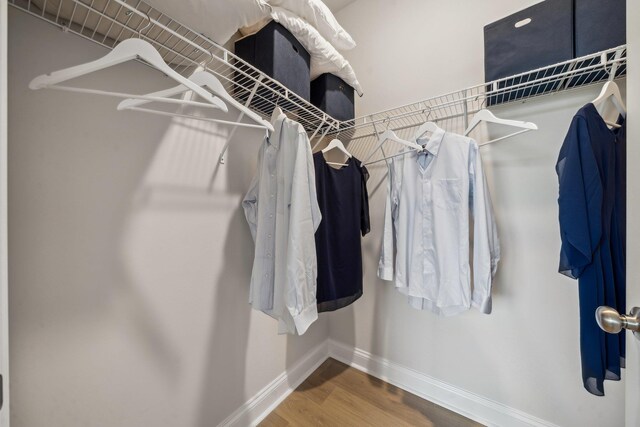 14736 Green View Dr, Elkton, VA 22827 - walk in closet with wood finished floors