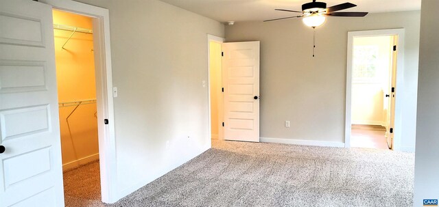 unfurnished bedroom featuring a walk in closet, a closet, and carpet