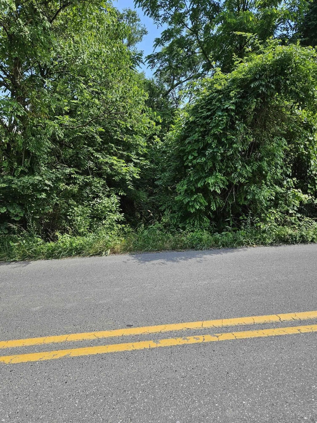 3ACRES Mossy Creek Rd, Mount Solon, VA 22843