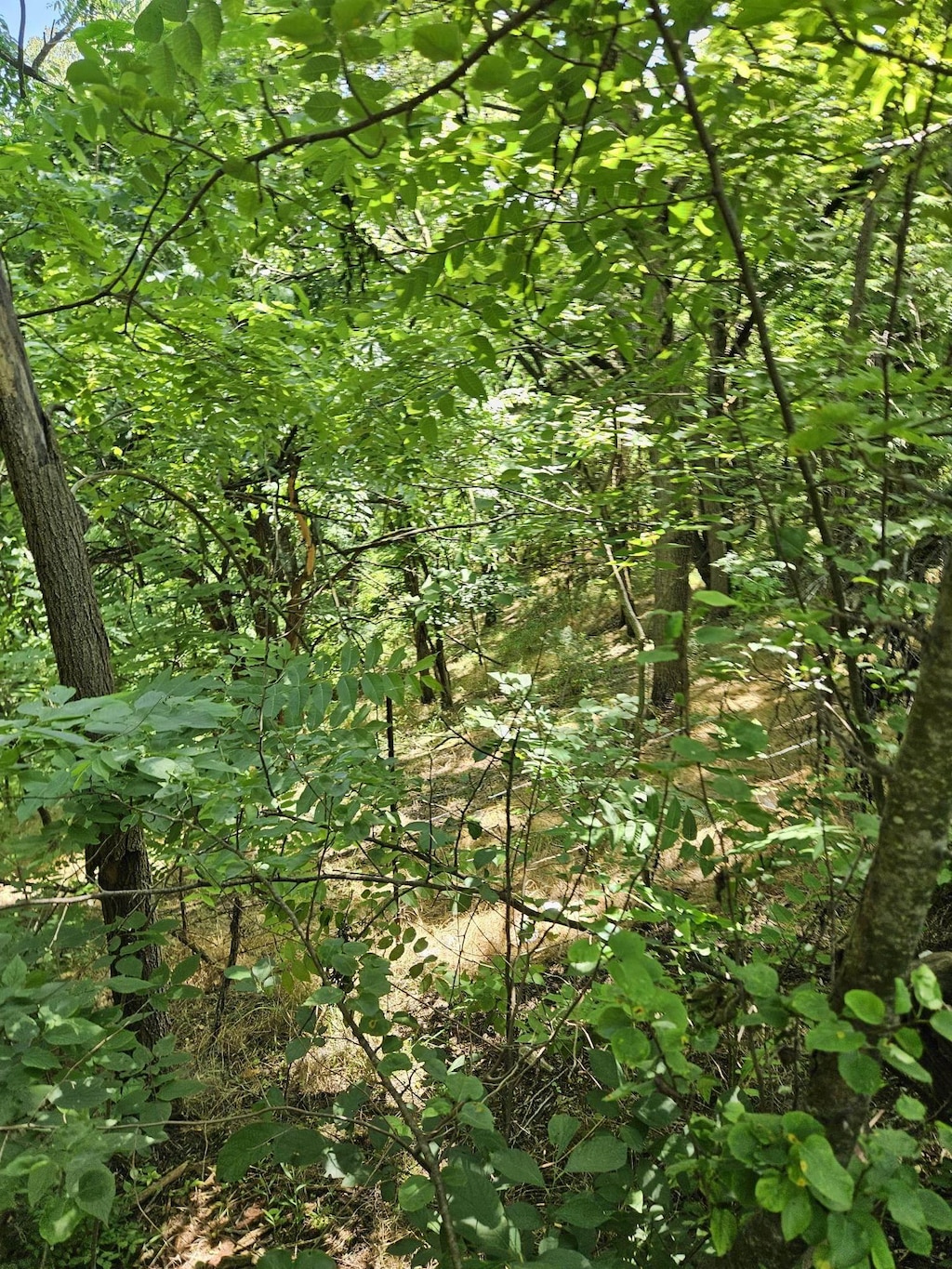 3ACRES Mossy Creek Rd, Mount Solon, VA 22843