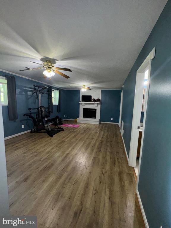 800 Dunlap St, Fredericksburg, VA 22407 - workout room featuring wood finished floors, ceiling fan, and a fireplace with raised hearth