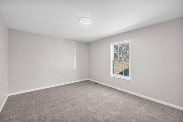 1028 D St, Waynesboro, VA 22980 - spare room with carpet floors and baseboards